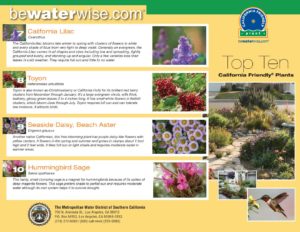 Top 10 CA Native Plants Brochure 7-10