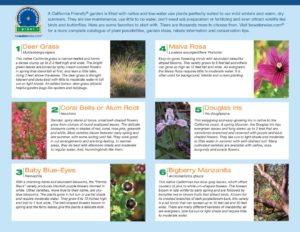 Top 10 CA Native Plants Brochure 1-6